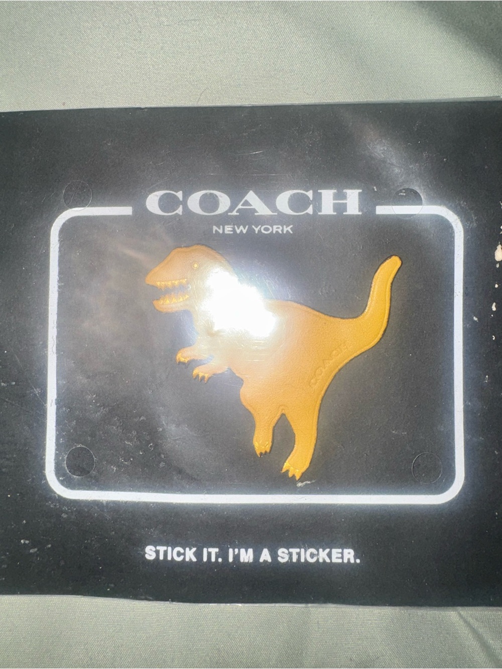 COACH New York Orange Dino/REXI Sticker Accessory, sold Out,rare! - Picture 1 of 9